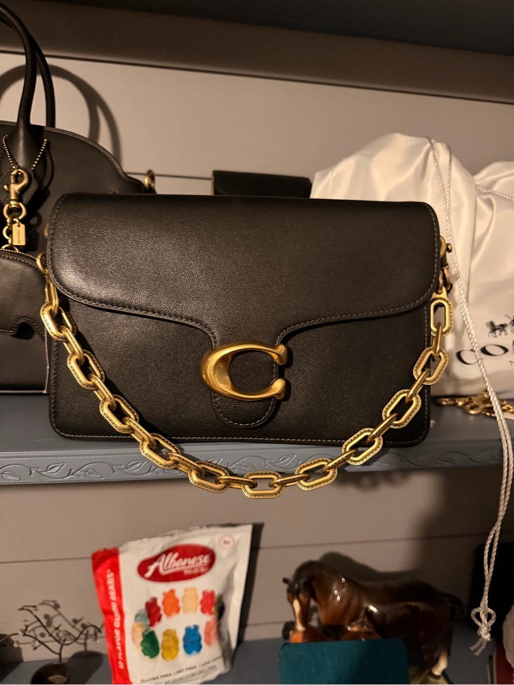 Coach Chain Tabby